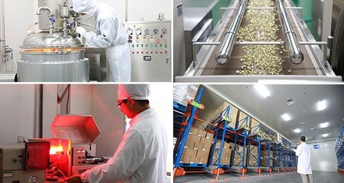 新年新气象丨淀粉植物胶囊 素囊科研力量缔造OEM帝国的新篇章